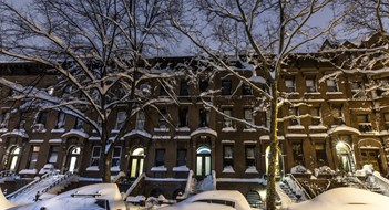 Winterizing Your Tree Pits Winterizing Your Tree Pits