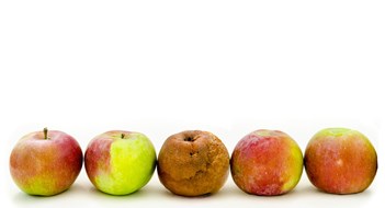 ‘Problem’ Board Members ‘Problem’ Board Members