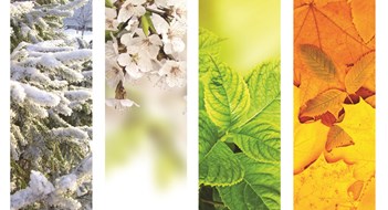 Planning Ahead Planning Ahead