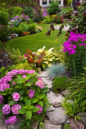 Choosing the Right Plants for Landscaping