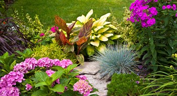 Choosing the Right Plants for Landscaping Choosing the Right Plants for Landscaping
