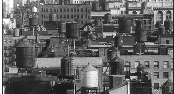 In the Drink In the Drink