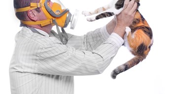 Environmental Irritants Environmental Irritants