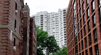What’s Happening in the Bronx What’s Happening in the Bronx